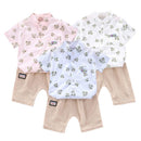 Conjunto Camisa Colar Mandarim Folhas - Tamanhos de 0 a 4 anos